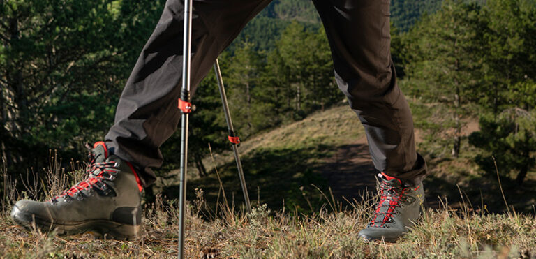 International Day of Forests