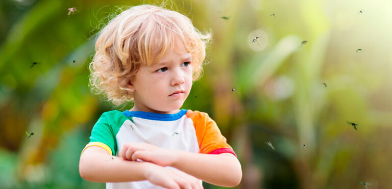 How to deal with insect and plant bites on a hike