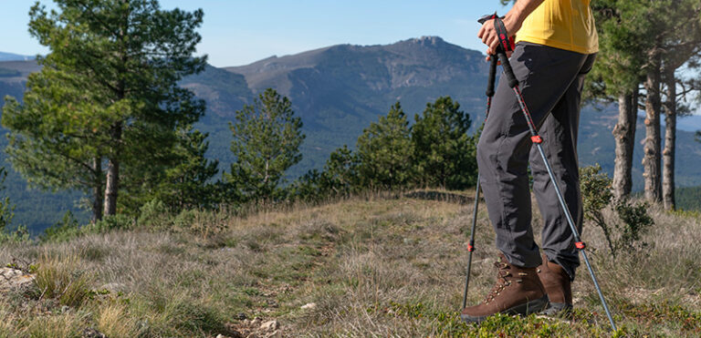 🌍 World Environment Day: Chiruca’s commitment to a greener planet