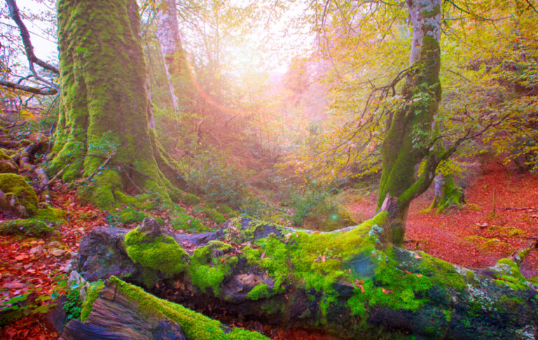 Paths for meditation and contemplation in Spain