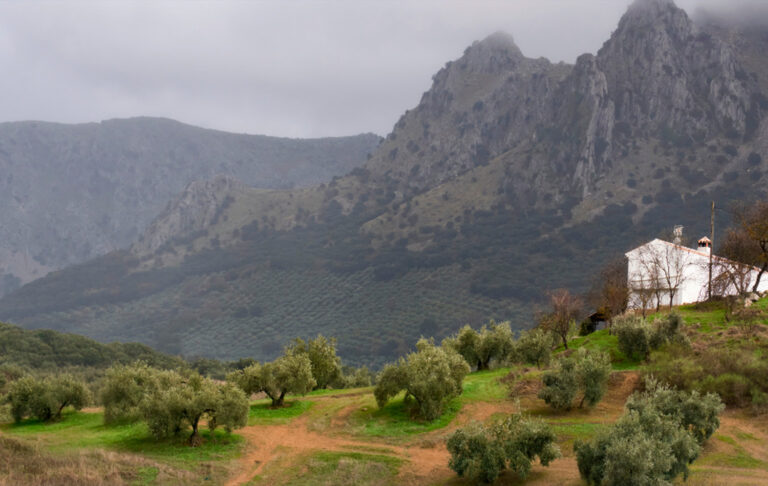 Subbética Greenway: among olive groves, mountains and historic viaducts