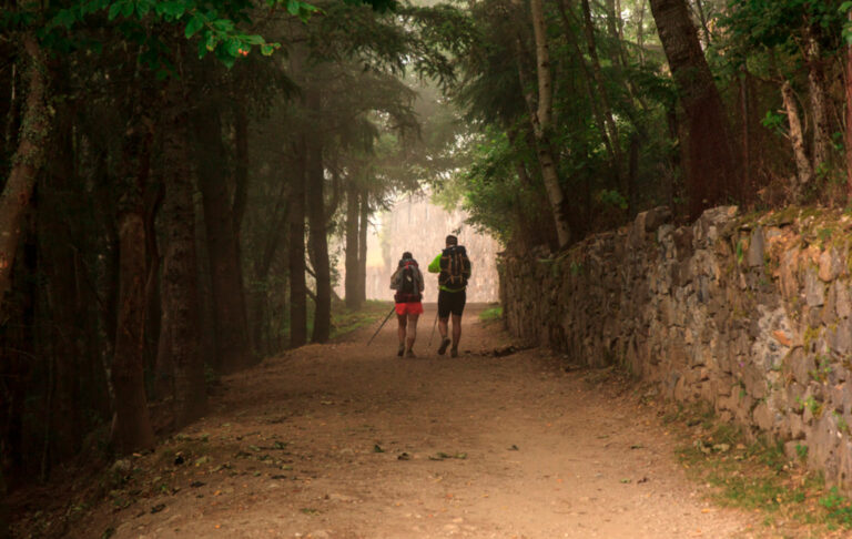 Alternative Camino de Santiago: Routes, Apps, Accommodation and Sustainability