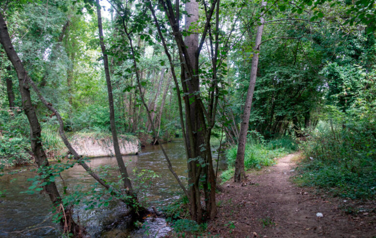 From volcano to sea: discovering the Carrilet Greenway