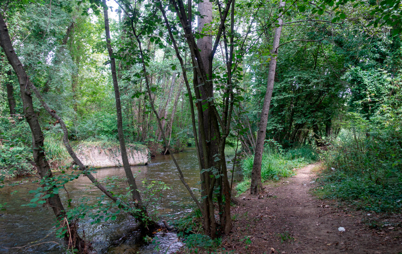 From volcano to sea: discovering the Carrilet Greenway