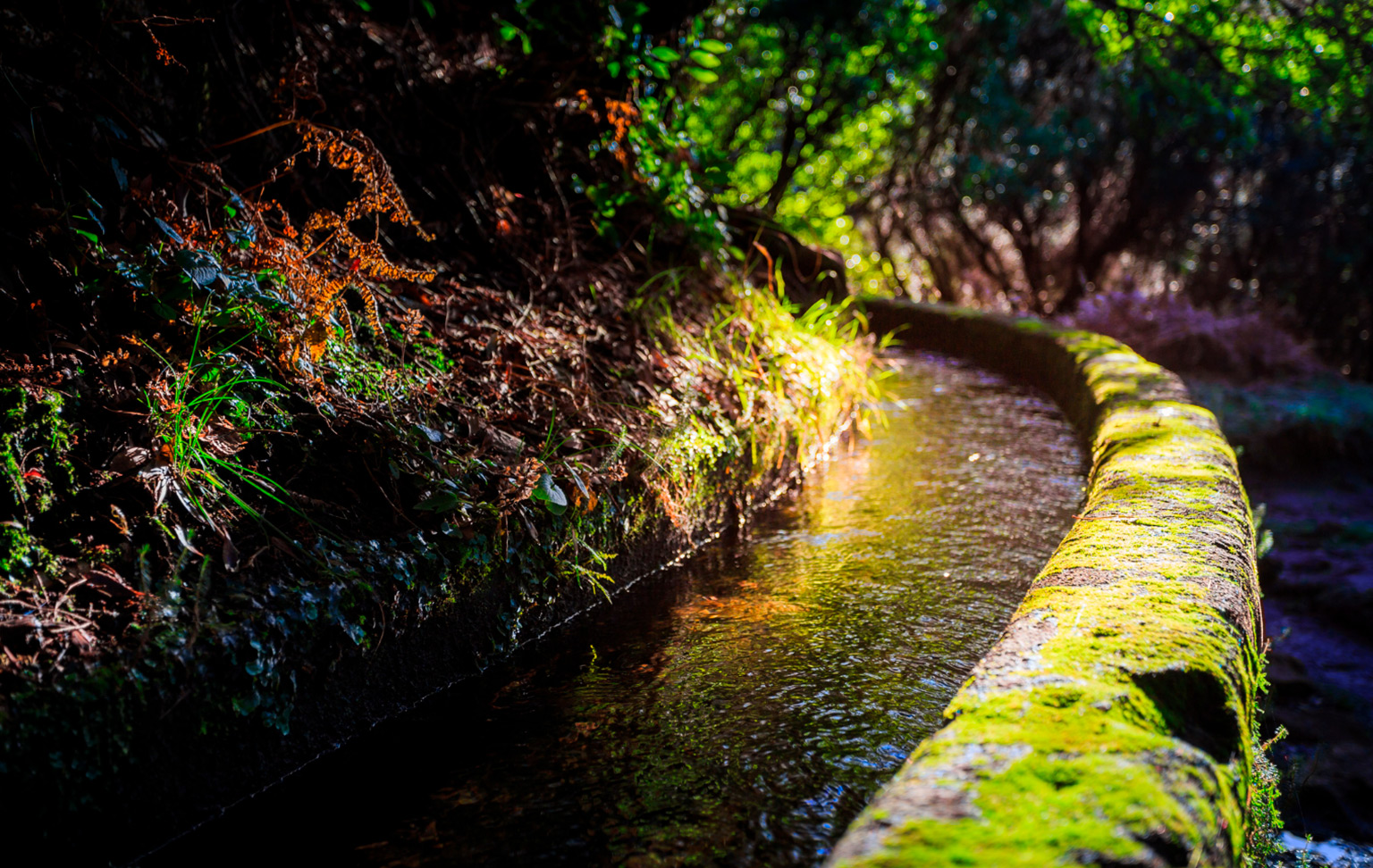 Levada das 25 Fontes: a must-do walk in Madeira