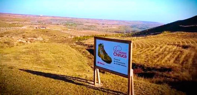 El Bosque Chiruca sigue creciendo