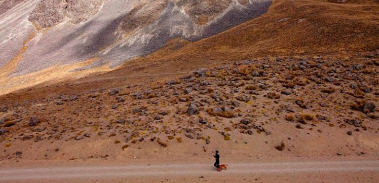 Consejos para iniciarte en el Trail Running