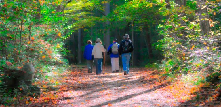 Consejos para iniciarse en el senderismo
