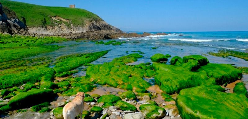 Senderismo en Cantabria: dos rutas imprescindibles