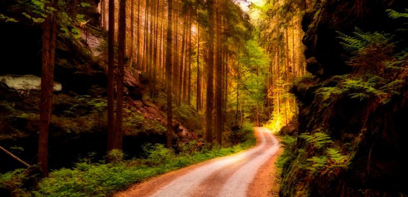 Las mejores rutas para hacer en primavera