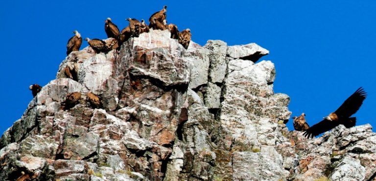 Dos rutas en Extremadura que no te puedes perder