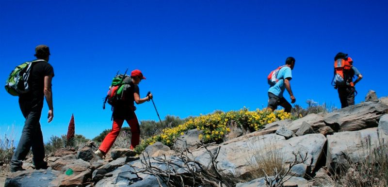 Rutas para disfrutar del senderismo en Tenerife