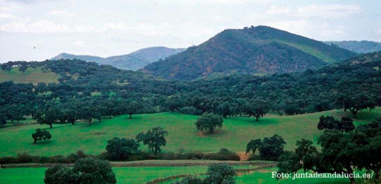 Rutas de senderismo en Sierra Morena