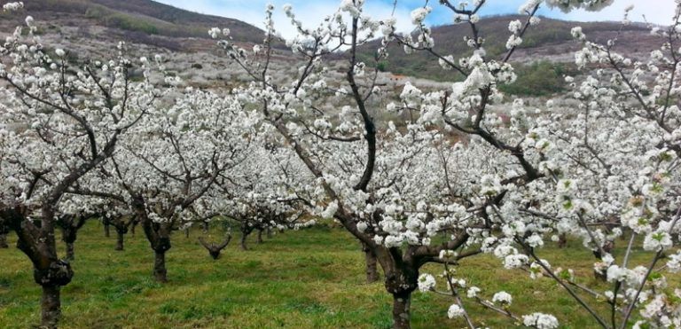 Senderismo en el Valle del Jerte