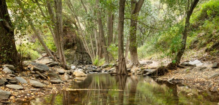 Descubrir Almería haciendo senderismo