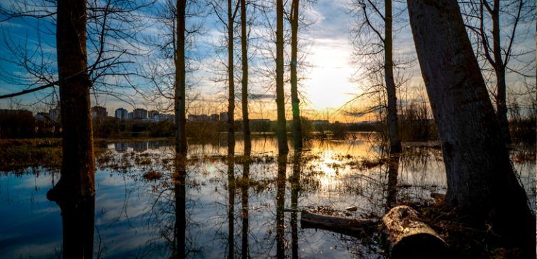 Los mejores senderos para observar aves en España