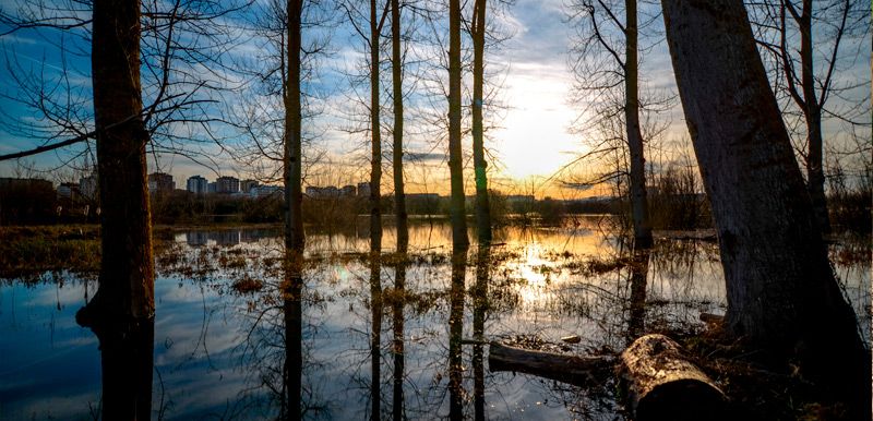 Los mejores senderos para observar aves en España