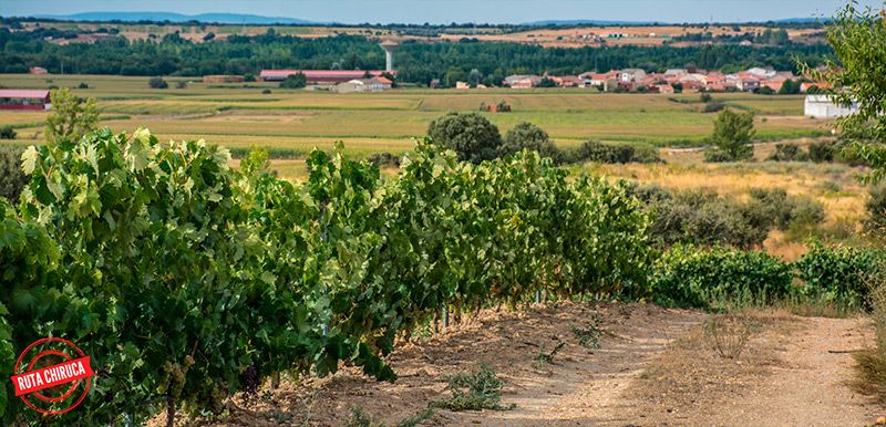 Ruta Sierra de Carpurias una de las rutas en Zamora