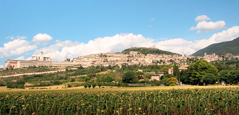 Explorando El Camino de Asís