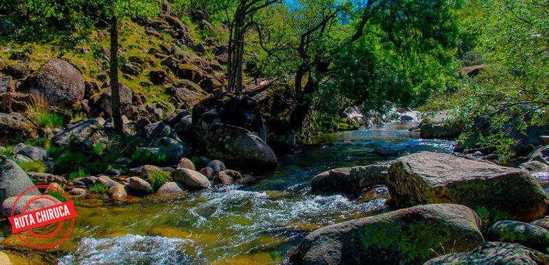 Descubre la Ruta de la Garganta de los Infiernos: Un Paraíso Natural en el Valle del Jerte