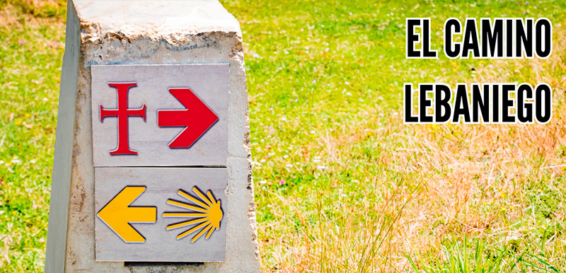 Camino Lebaniego: Historia, trayectos, curiosidades y la influencia de Santo Toribio de Liébana
