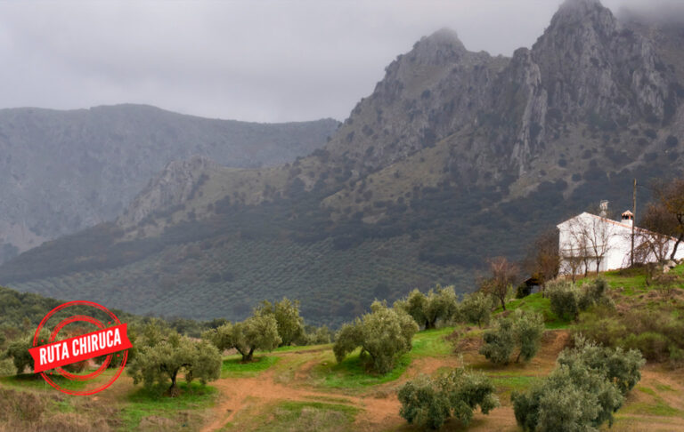 Vía Verde de la Subbética: entre olivares, sierras y viaductos históricos