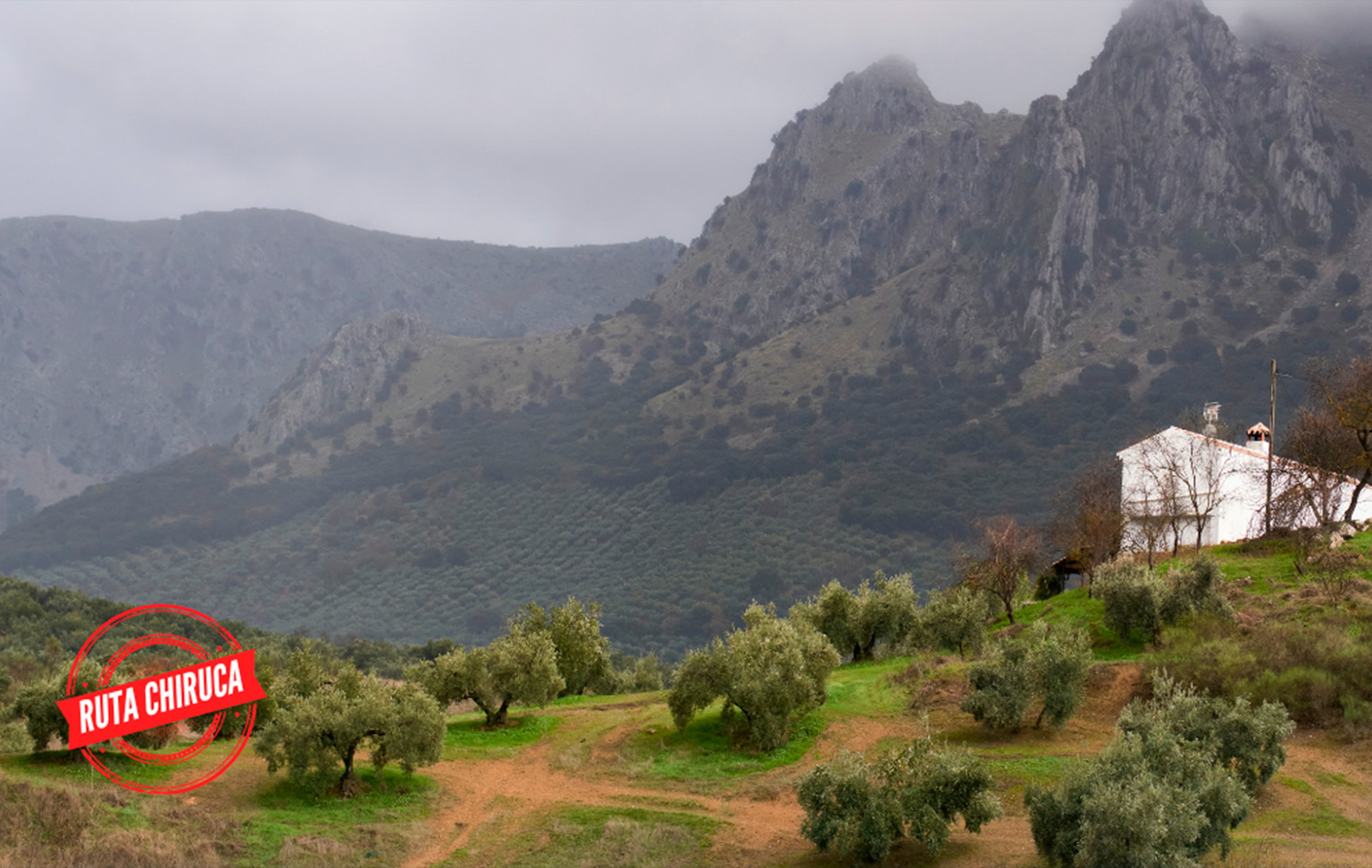 Vía Verde de la Subbética: entre olivares, sierras y viaductos históricos