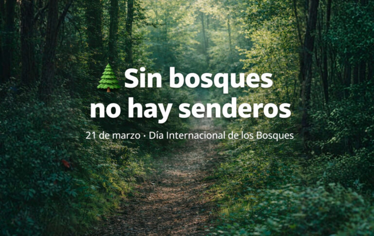 Sin bosques no hay senderos: celebrar el Día Internacional de los Bosques caminando hacia el futuro