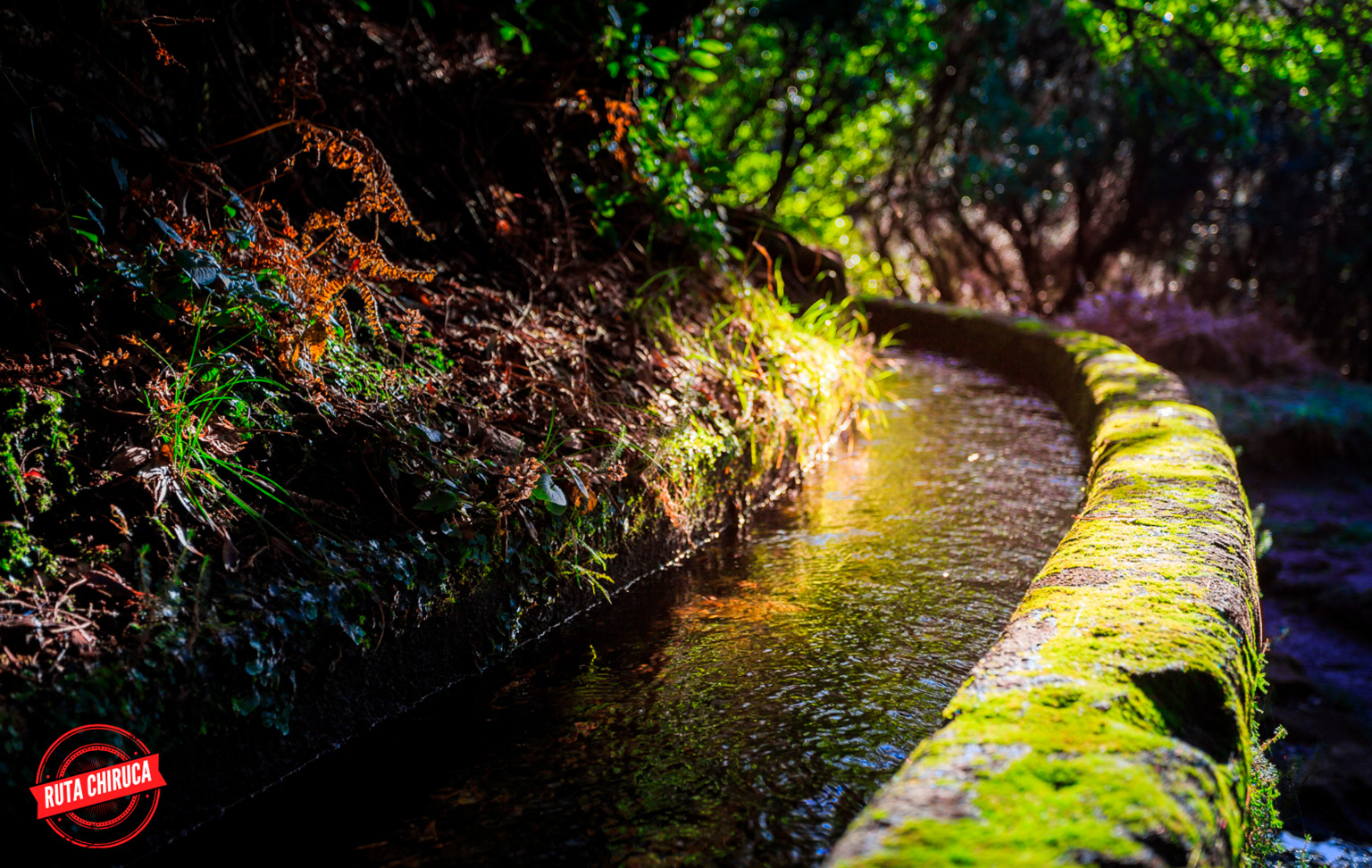 Levada das 25 Fontes: una ruta imprescindible en Madeira